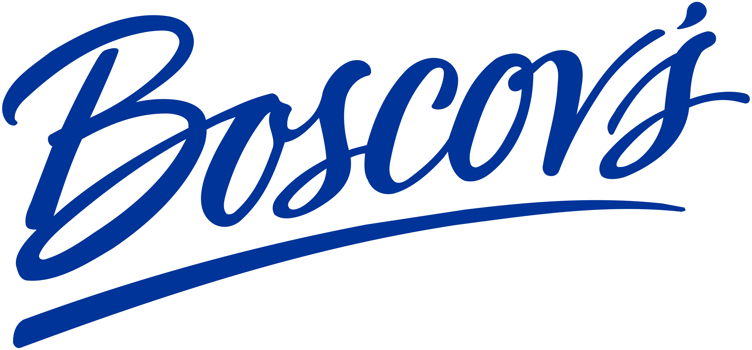 Boscov logo